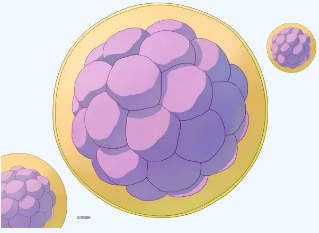 屏幕截图 2025-03-10 150718.png