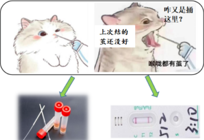 屏幕截图 2025-04-07 111711.png