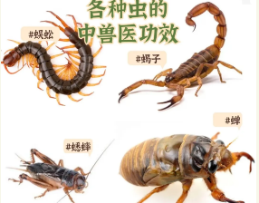 屏幕截图 2025-04-17 082231.png