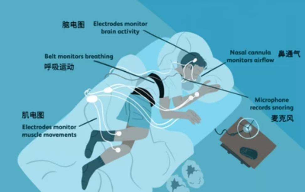 睡眠.png