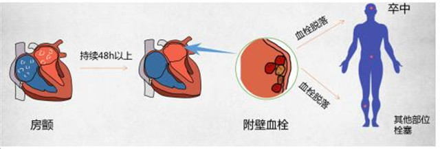 QQ截图20190605083750.jpg