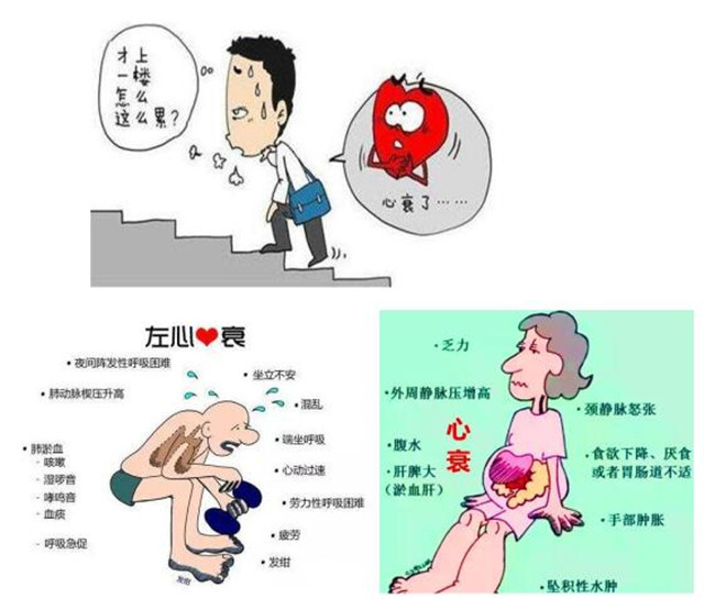 QQ截图20190605083805.jpg