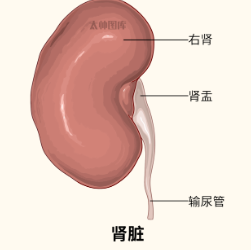 屏幕截图 2025-03-17 082950.png