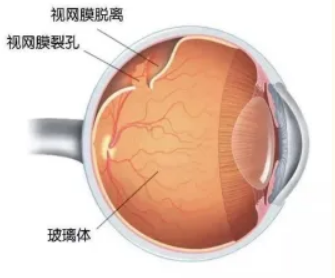 屏幕截图 2025-03-20 101937.png