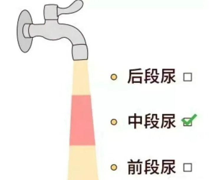 屏幕截图 2025-03-21 151519.png