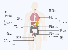 屏幕截图 2025-04-10 082005.png
