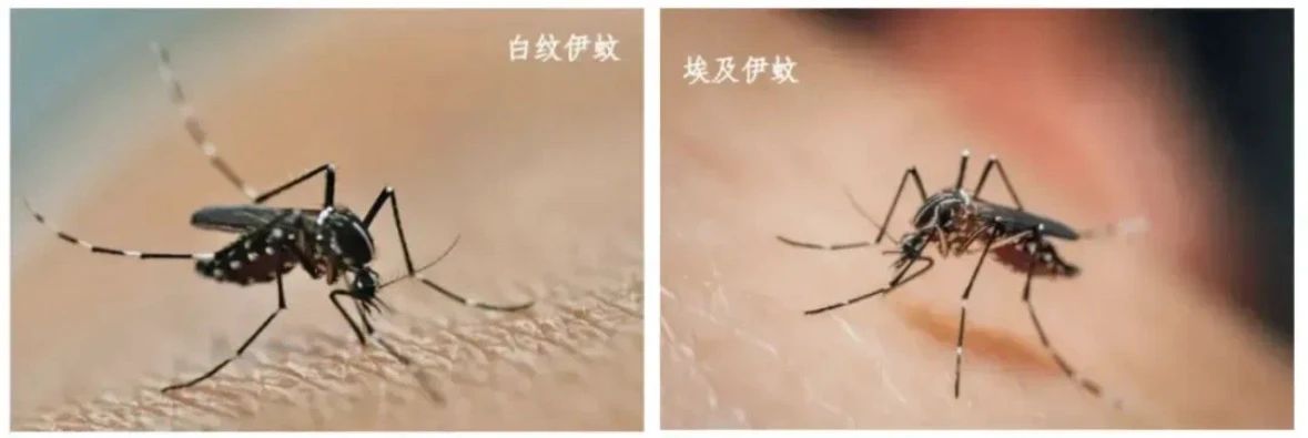 微信图片_20250804083101.jpg