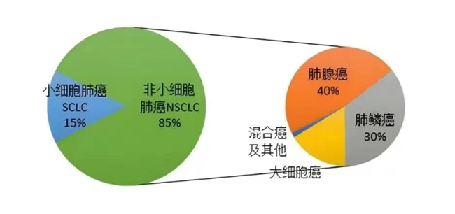 c967893da004fa97f1feedfcfb0fac9f.jpg c967893da004fa97f1feedfcfb0fac9f.jpg