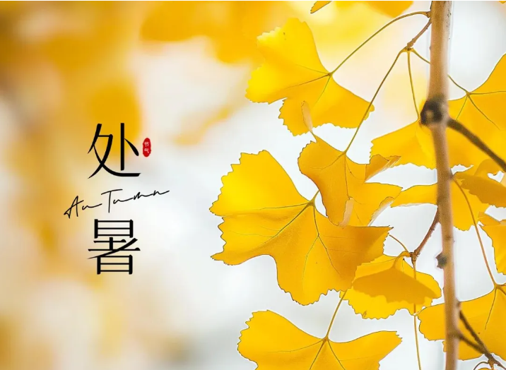 QQ浏览器截图20250823111005.png